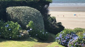 A coastal view with a beach, a hedge, and a distant cityscape.