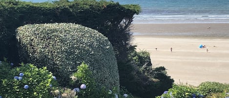 Rannalla, aurinkotuoleja