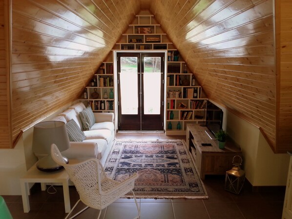 TV, DVD player, books