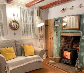Smart TV, fireplace, DVD player, books