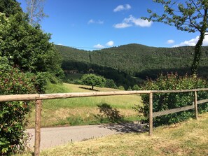 Property grounds - Cottage at the foot of the Castles (Windstein)