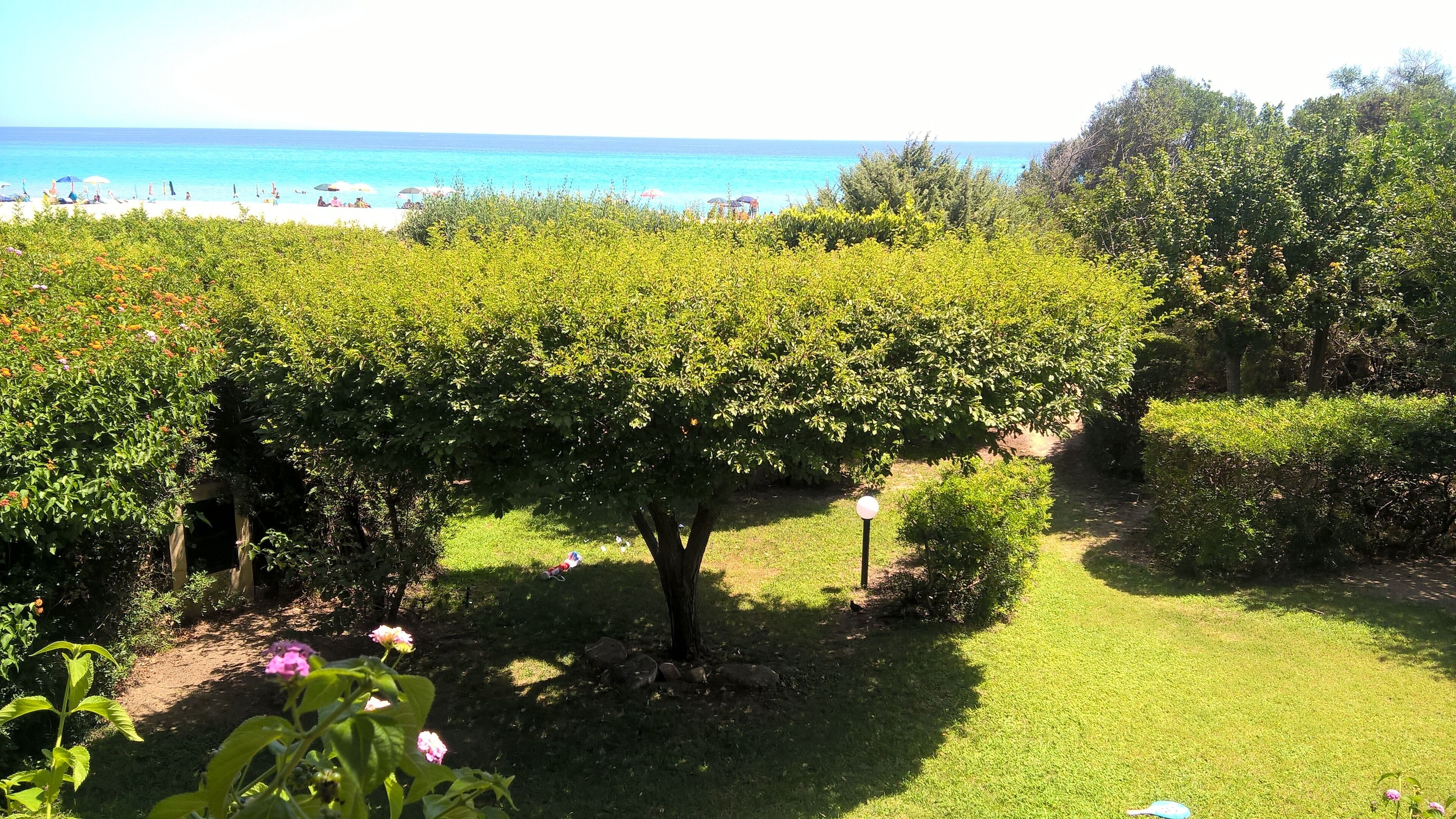 Un jardin offrant une vue sur l’océan, agrémenté de divers arbres et arbustes.