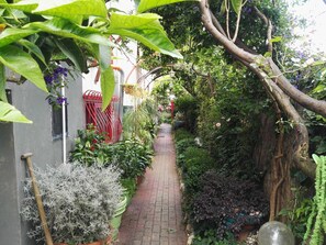 Property grounds - Bivio Pratole: A CHARMING DETACHED HOUSE NOT FAR FROM THE BEACH (Bivio Pratole)