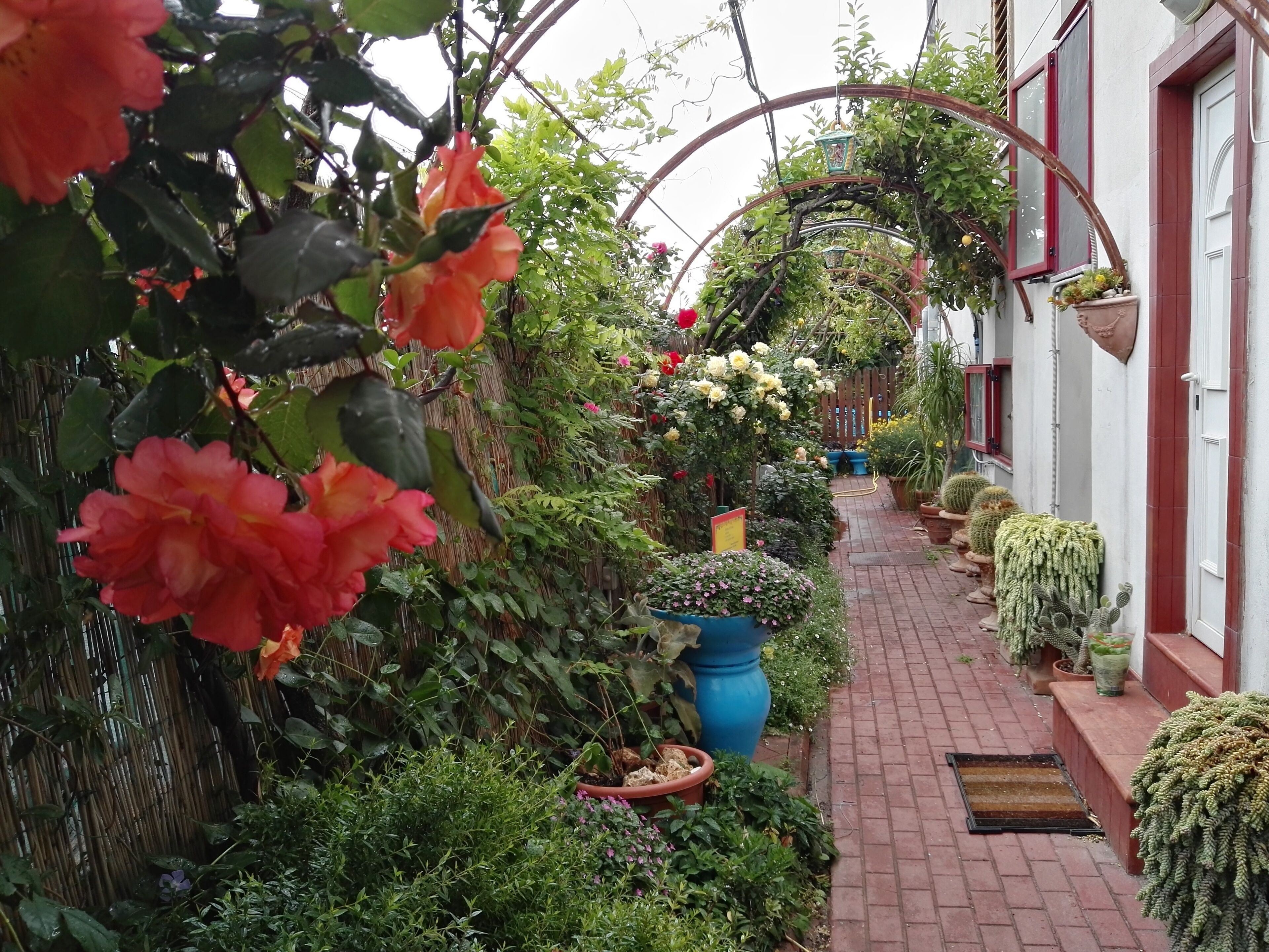 Enceinte de l’hébergement