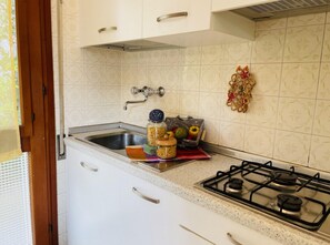 Frigorífic, microones i placa de cuina