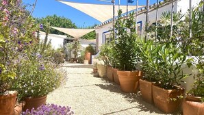 A pathway lined with terracotta pots containing various plants and flowers, leading to a building with a white facade and blue trim. - Chill out and relax in true Portuguese style  (Santa Barbara de Nexe)