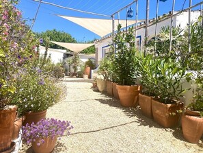 Property grounds - Chill out and relax in true Portuguese style (Santa Barbara de Nexe)