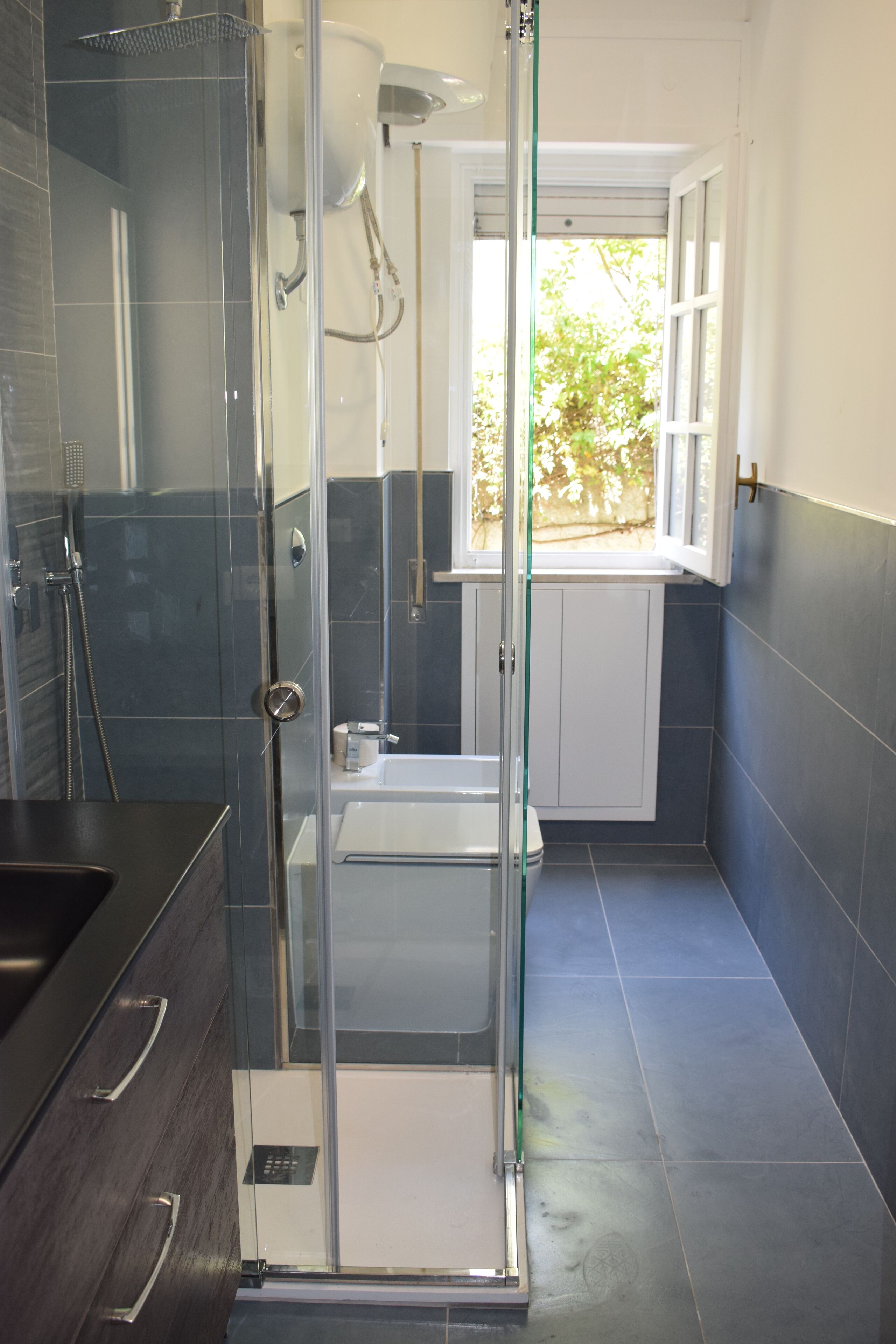 Combined shower/tub, hair dryer, bidet, towels