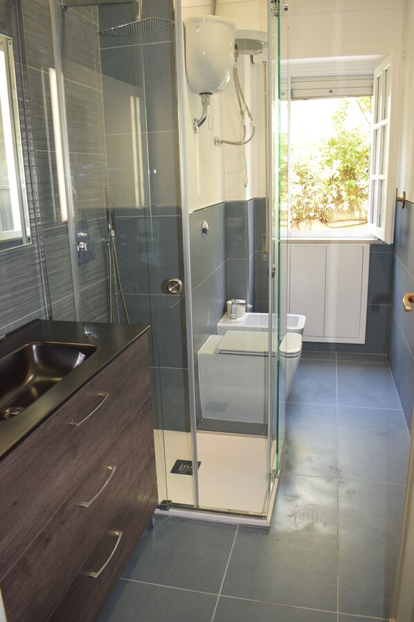 Combined shower/bathtub, hair dryer, bidet, towels