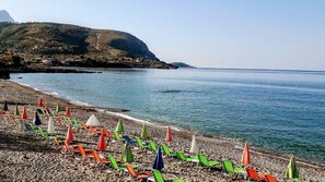 بالقرب من الشاطئ