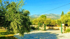 A stone-paved entrance to a property with a green gate, surrounded by trees and a mountainous backdrop.