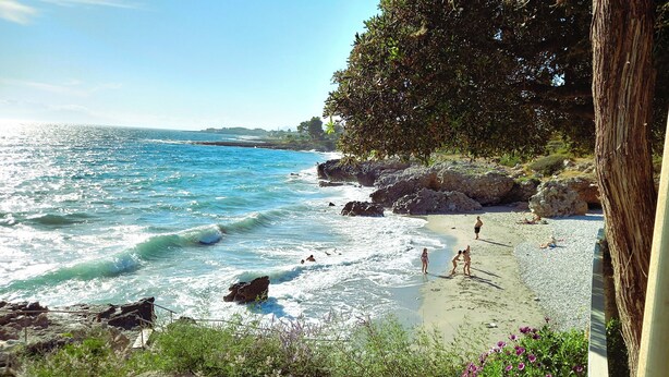 A beach with waves, people, and greenery.