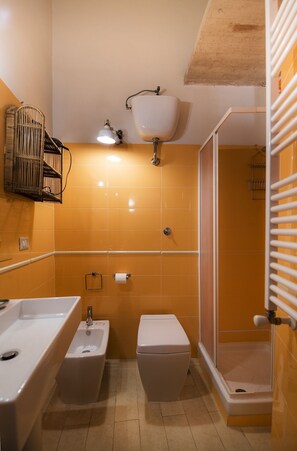 Shower, hair dryer, bidet, towels
