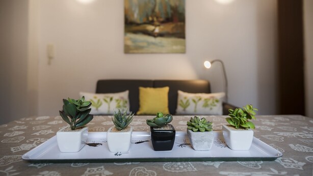 A room with a bed, a painting on the wall, and a tray with five potted plants. - Historic Center Salerno, ideal for getting around the city and the coast - Wi-Fi Free (Salerno)