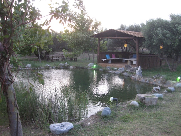 A pond with a wooden deck and benches, surrounded by rocks and trees.