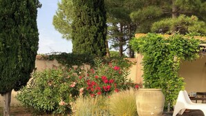 Un jardín con diversas plantas y una maceta grande.