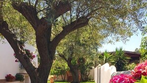 Un jardín con un árbol grande, flores rosas vibrantes y un muro blanco al fondo.