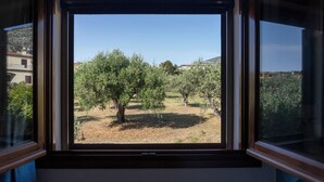 Una ventana con vistas a un olivar.