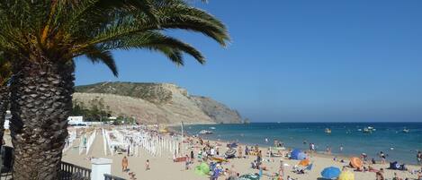 在海灘附近、躺椅、沙灘巾