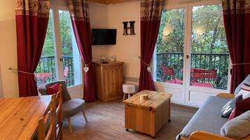 Télévision à écran plat, lecteur de DVD, livres