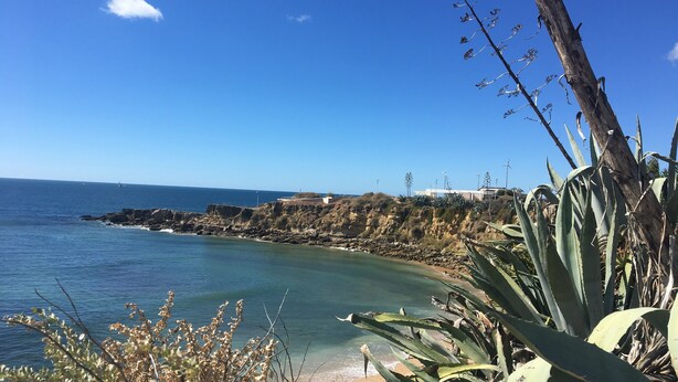 Un paisaje costero con cielo despejado, costa rocosa y vegetación escasa.