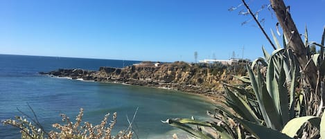 Perto da praia, espreguiçadeiras, toalhas de praia 