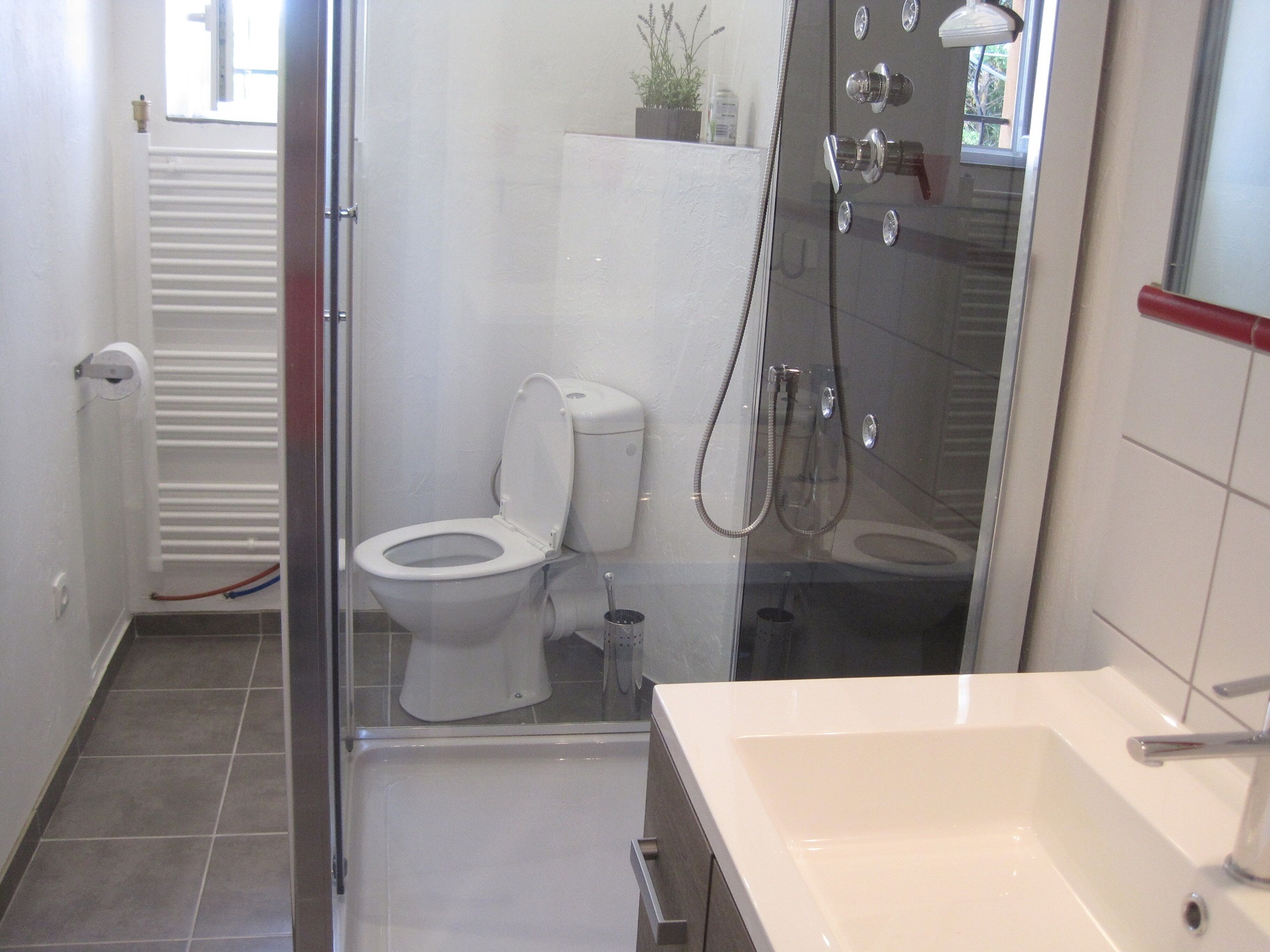 Een badkamer met toilet, douche en wastafel.