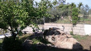 A fenced enclosure with a rocky terrain and sparse vegetation. - Peaceful Holiday Home. (Posada)