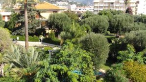 Un quartier résidentiel avec une grande variété d’arbres et un bâtiment doté d’un toit jaune.