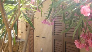 Un edificio con pared de piedra y contraventanas de madera, un camino empedrado y un árbol con flores rosadas.