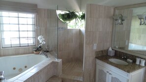 Bathtub, hair dryer, towels, soap - Very Spacious, Private, Open Plan Retreat. Pool And Stunning Views Of West Coast (Saint Peter)