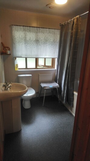 Ensemble baignoire-douche, séchoir à cheveux, serviettes fournies, savon