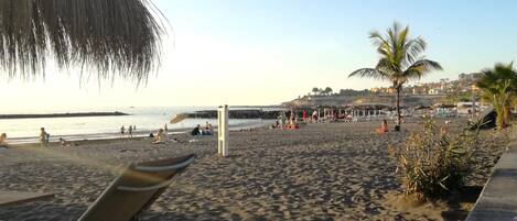 A beach with lounge chairs, umbrellas, and palm trees.