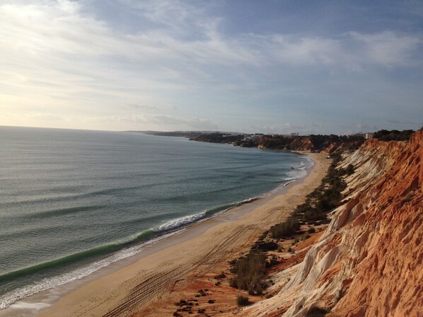 ビーチの近く、サンラウンジャー