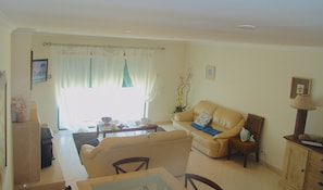 テレビ、暖炉、DVD プレーヤー、書庫