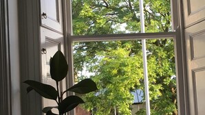 Une pièce avec une grande fenêtre, une plante en pot et une chaise blanche.