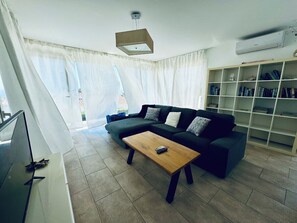 TV connectée, cheminée, lecteur de DVD, livres