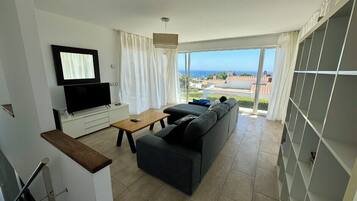 Smart TV, fireplace, DVD player, books