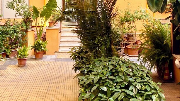 A courtyard with potted plants, a staircase, and a yellow building facade. - Penthouse with large terrace overlooking  Colosseum and  center of Rome. (Roma)