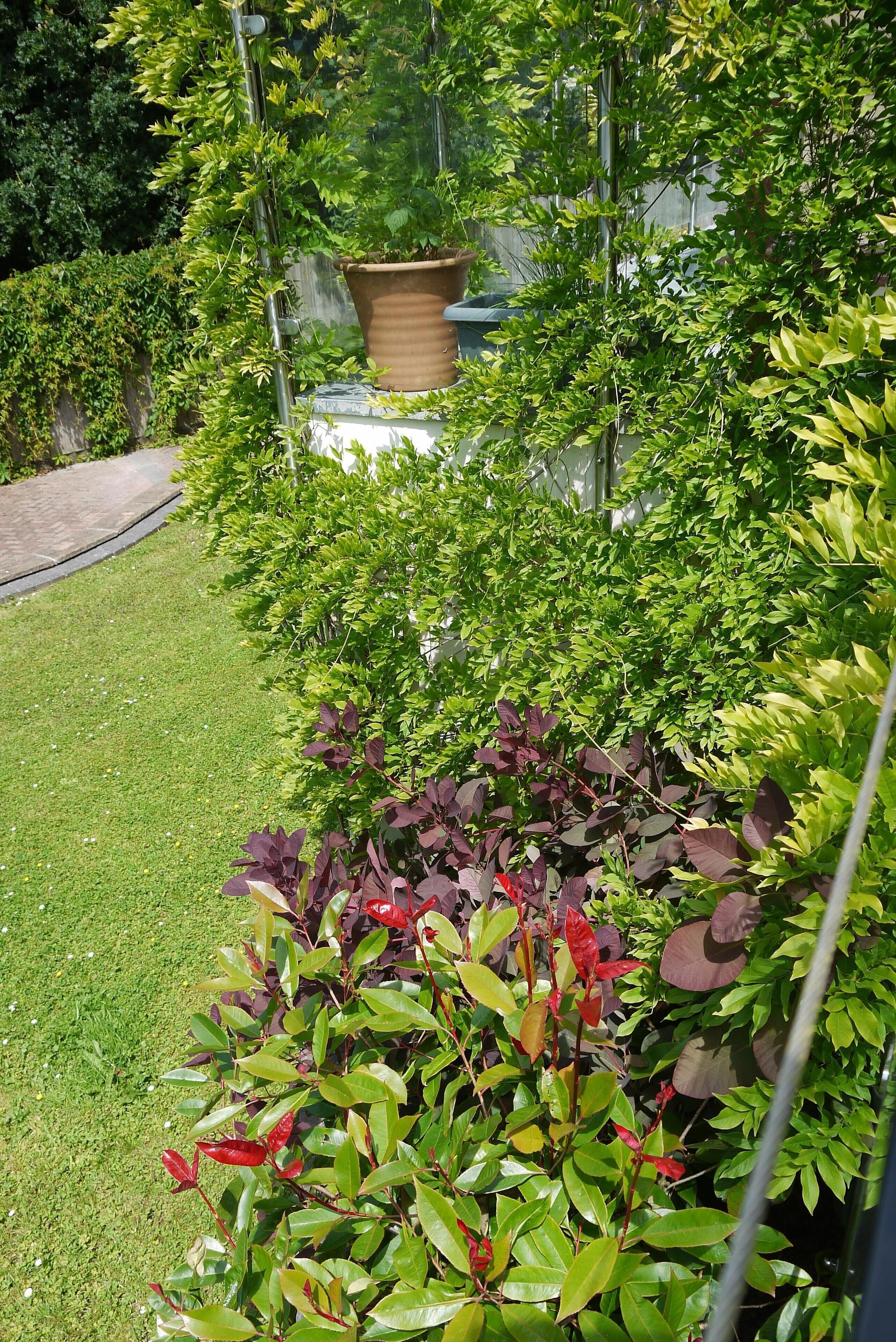 A garden with various plants and a large pot.