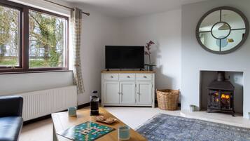 TV connectée, cheminée, lecteur de DVD, livres