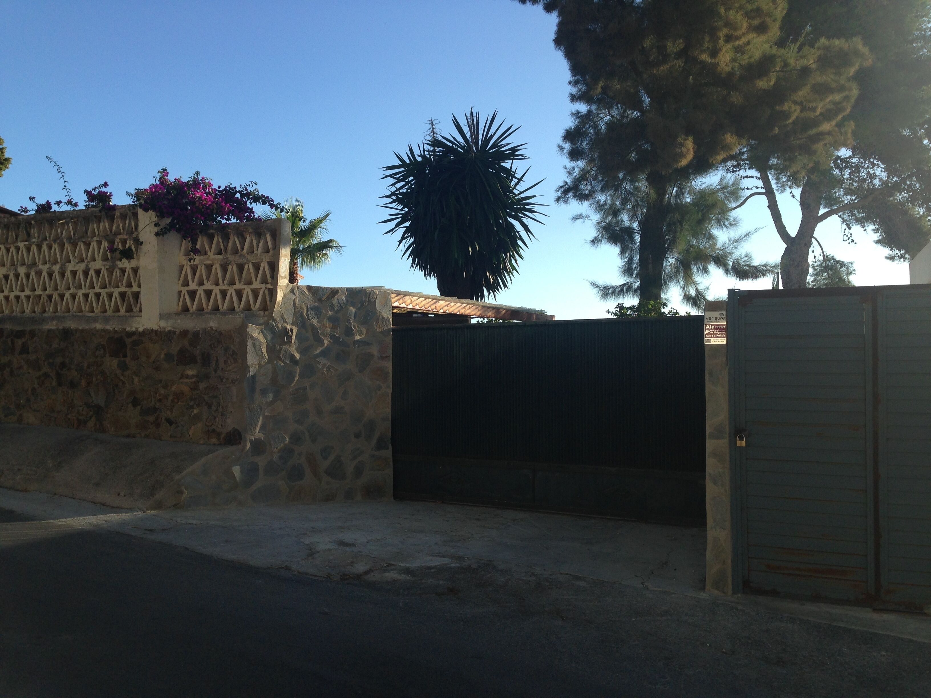 A gated entrance with a stone wall, a metal gate, and a palm tree.