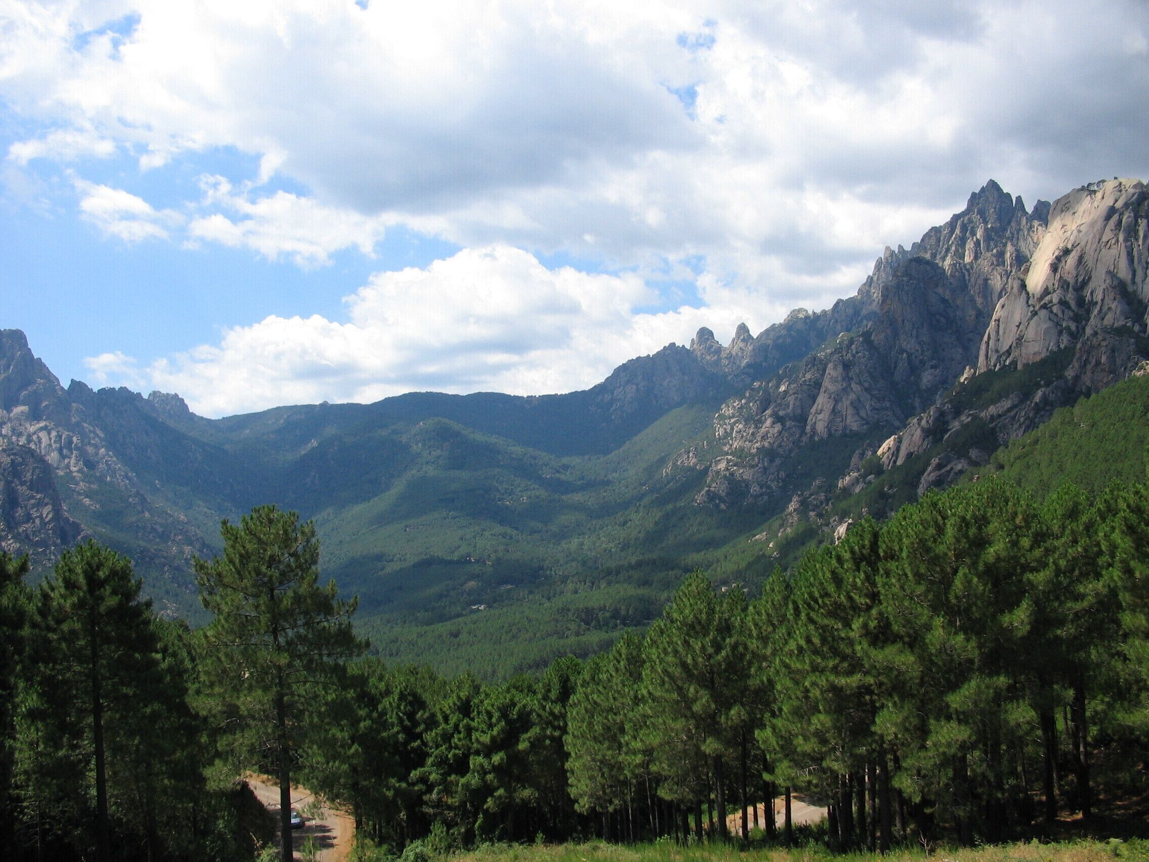 A mountainous landscape with dense forests and rocky peaks.
