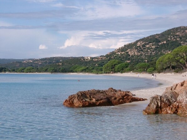 Playa en los alrededores 