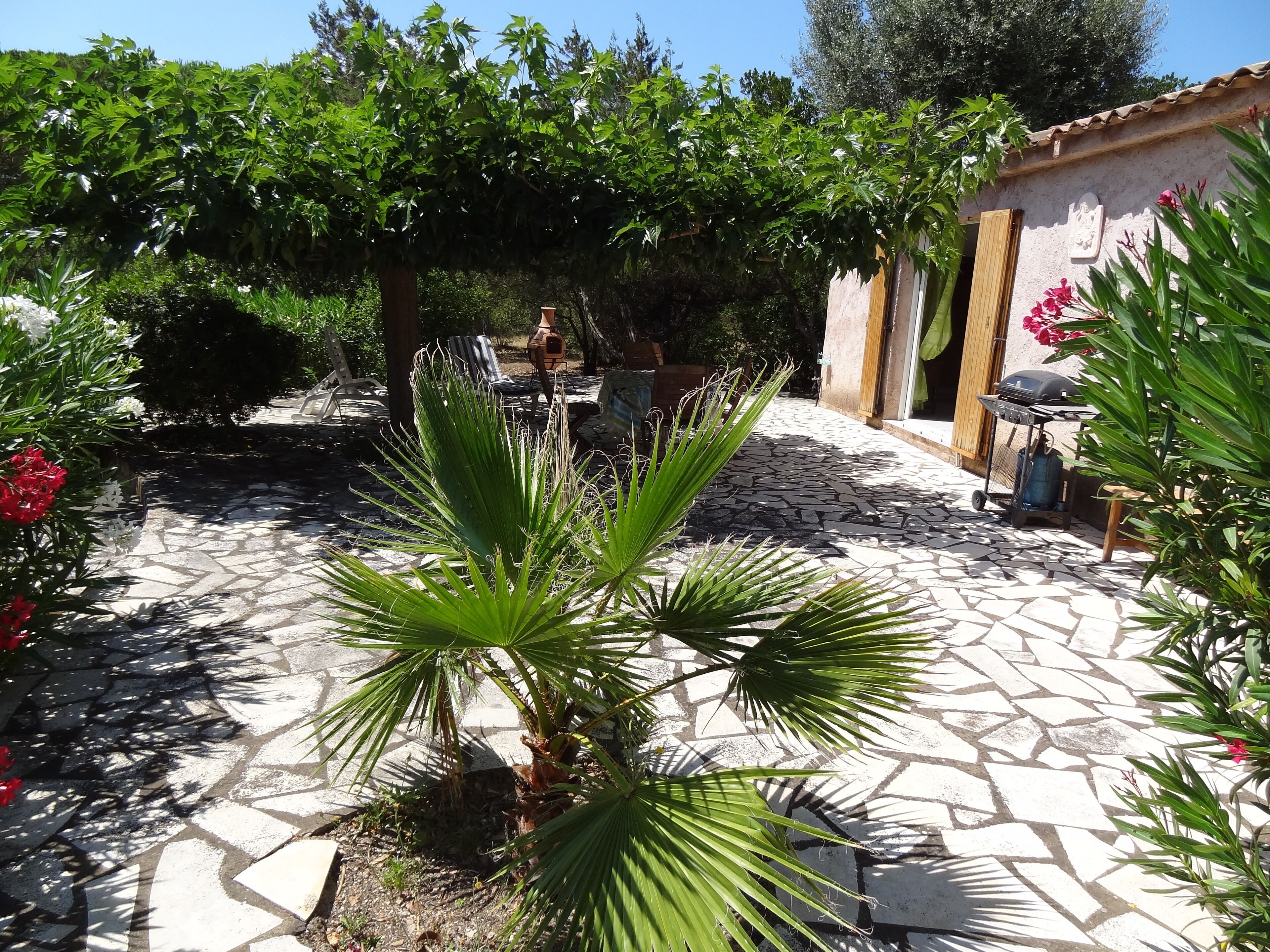 A patio area with a stone floor, a small palm tree, and a grill cart.