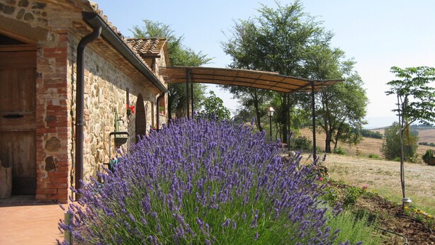A stone building with a wooden door, a pergola, and a field of lavender.