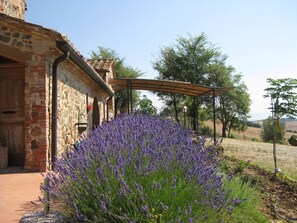 Un edificio de piedra con puerta de madera, una pérgola y un campo de lavanda.