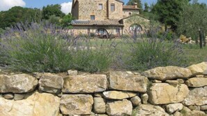 A stone house with a rustic appearance, surrounded by lavender fields and a stone wall.
