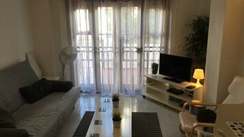 Televisio, DVD-soitin, kirjoja, videokirjasto