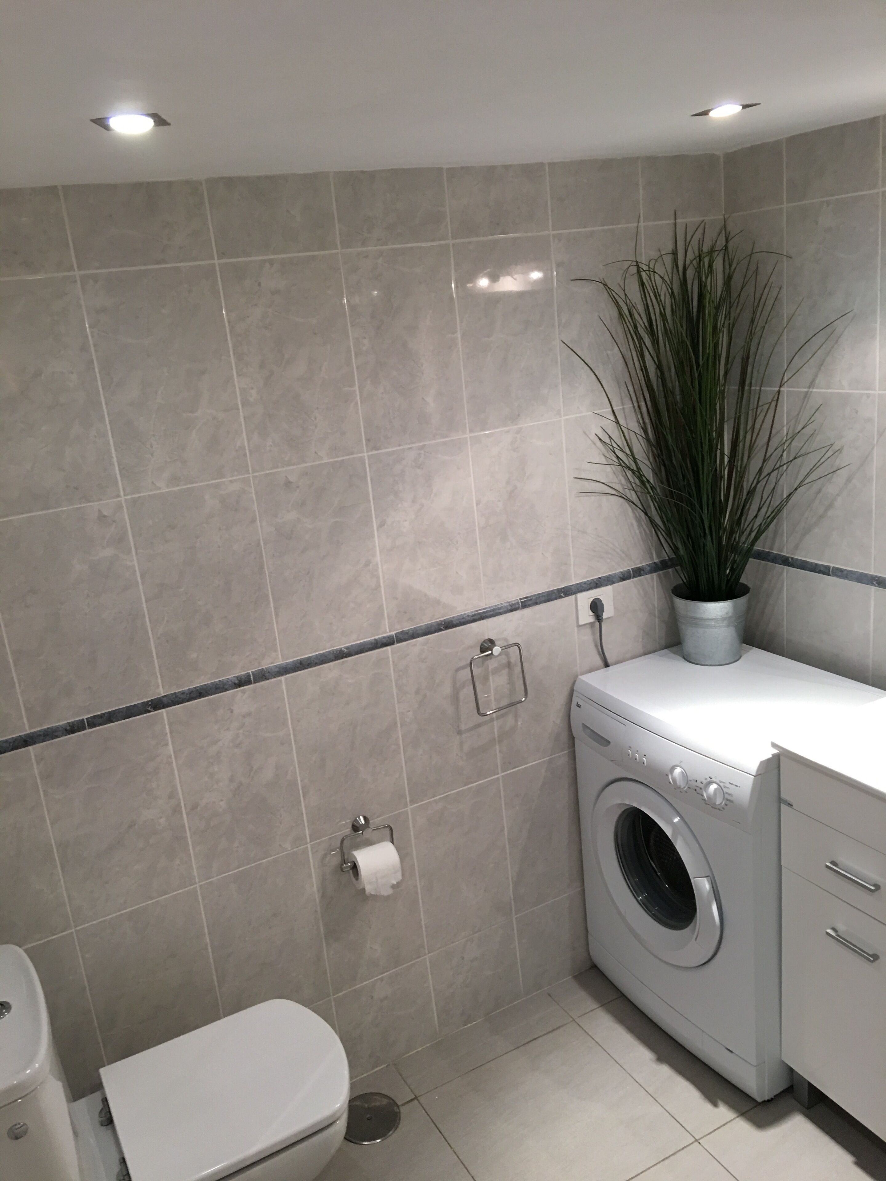 Un baño pequeño con lavadora, inodoro y una planta en maceta.